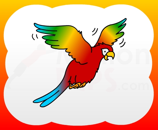 503x415 Macaw Clipart Parrot Drawing