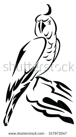 262x470 Outline Black White Image Parrot Raster Stock Illustration