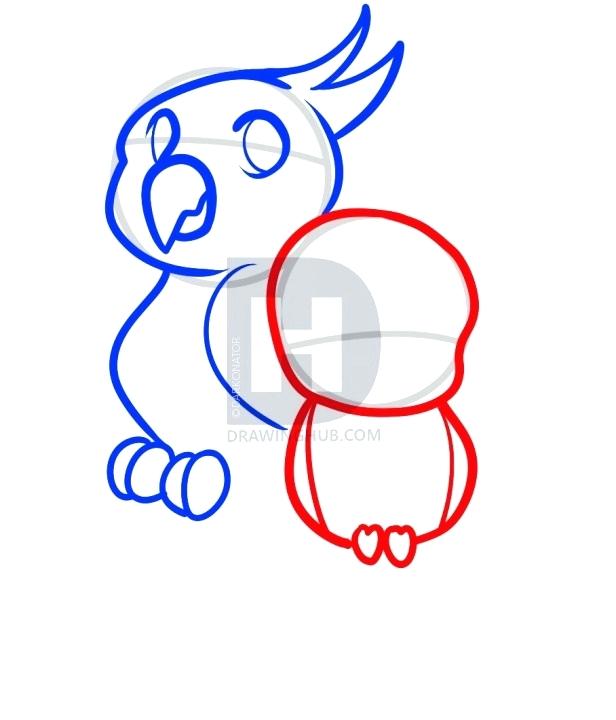 616x720 How To Draw Parrot For Kids