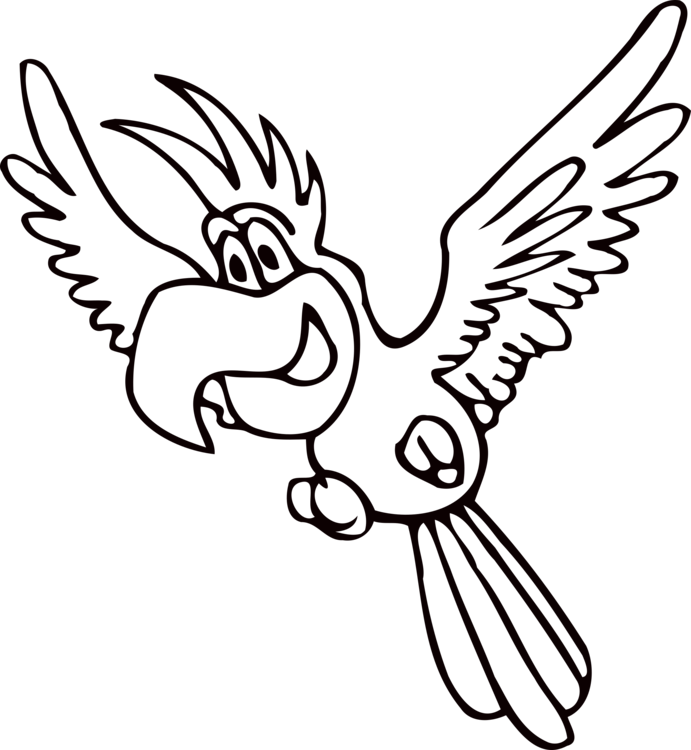 691x750 Amazon Parrot Beak Drawing Coloring Book Bird Cc0