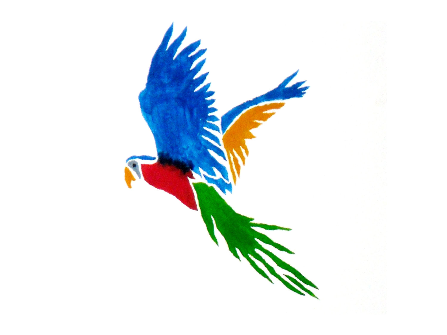1500x1125 Parrot Drawing Draw Birds Clip Art Transprent Png