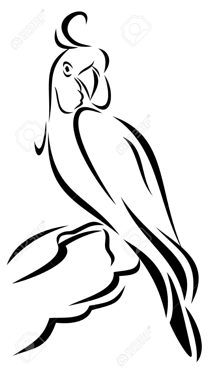 Parrot Drawing Outline | Free download on ClipArtMag