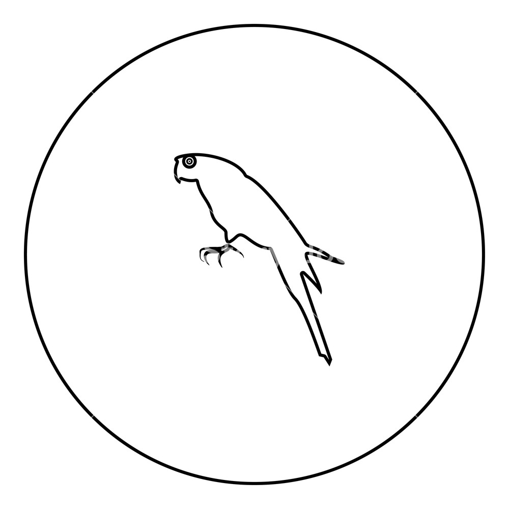 1000x1000 Parrot Icon Black Color In Circle Outline Vector Illustration