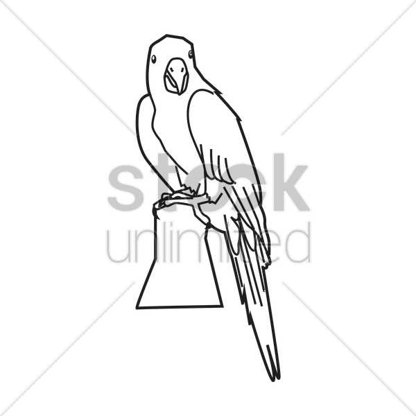 600x600 Parrot Outline Vector Image