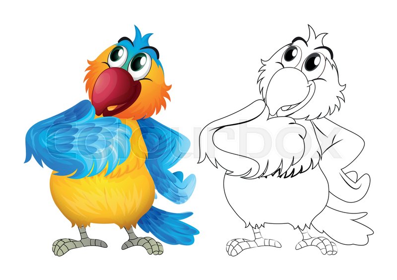 800x564 Animal Outline For Cute Parrot Stock Vector Colourbox