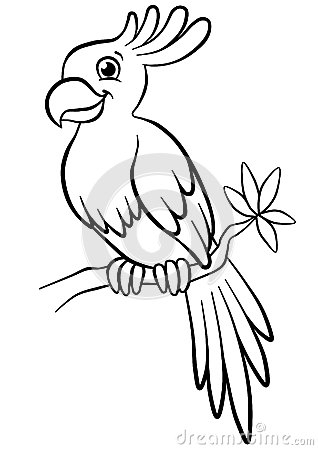 318x450 Temporary Parrot Clipart Parrot Outline Pirate Clip Art Black