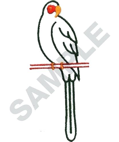 417x500 Parrot Outline