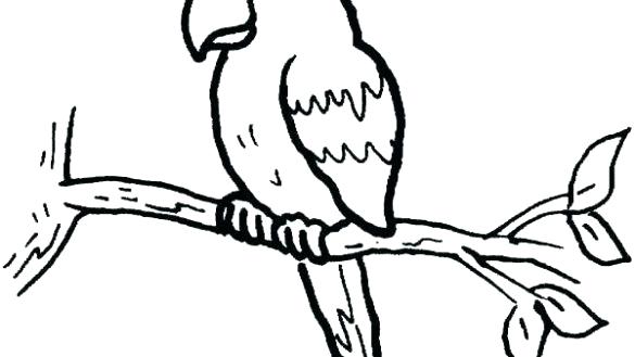 585x329 coloring book drawings funny pages artwork inappropriate pig color