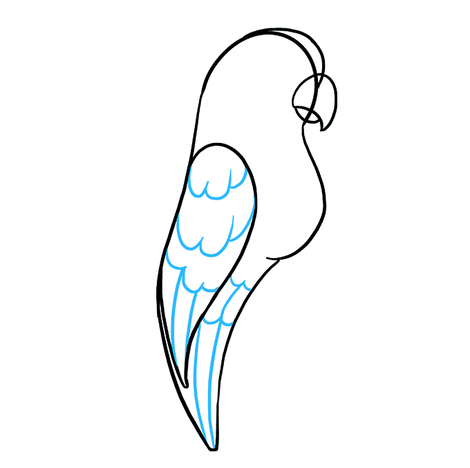 680x678 How To Draw A Parrot
