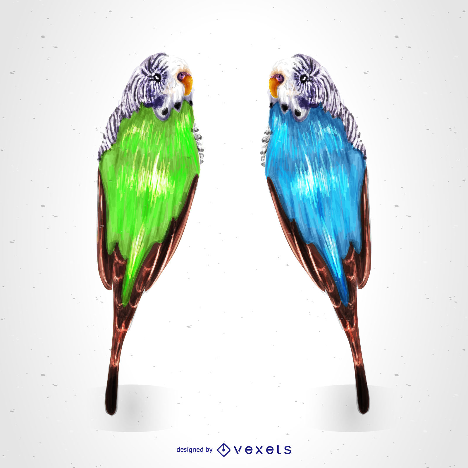 1600x1600 Tropical Parrots Drawing