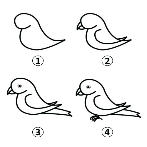 500x500 How To Draw Parrot