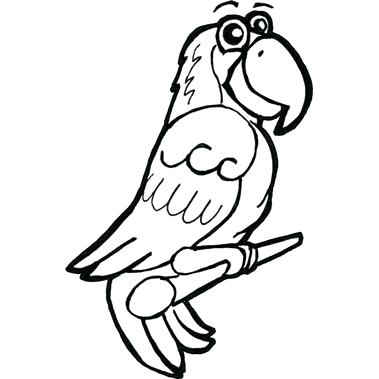379x379 easy parrot drawing grey parrot simple free pages parrot easy