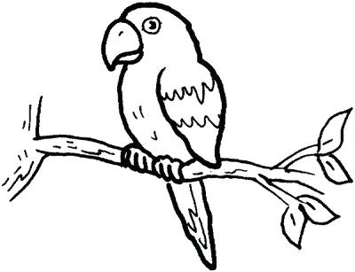 400x307 Easy To Draw Parrot Learn To Color Birds How To Draw Easy To Draw