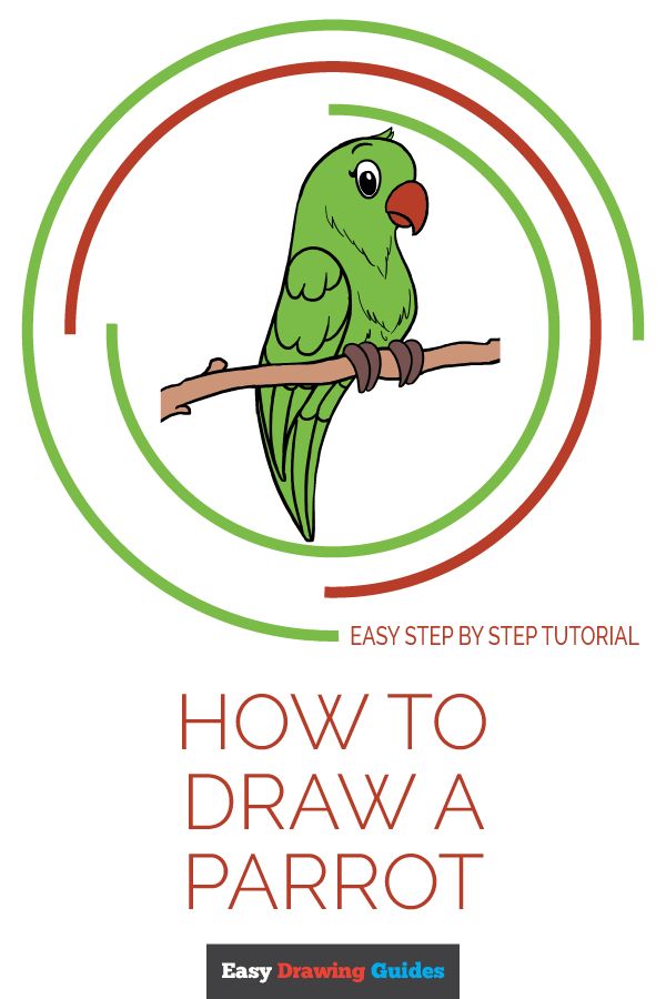 600x900 How To Draw A Parrot