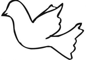 300x210 Parrot Drawing For Kids Easy