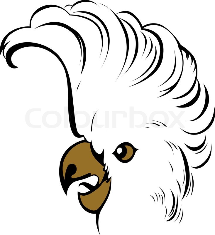 733x800 Vector Parrot Head Easy To Edit Stock Vector Colourbox