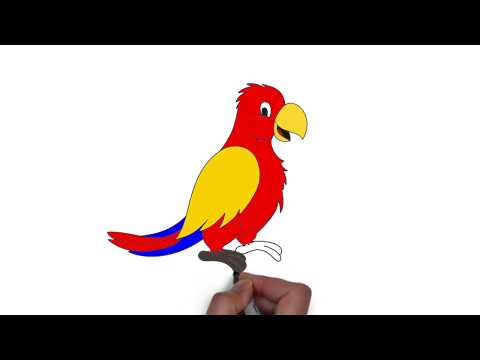 480x360 Download How To Draw A Parrot Step