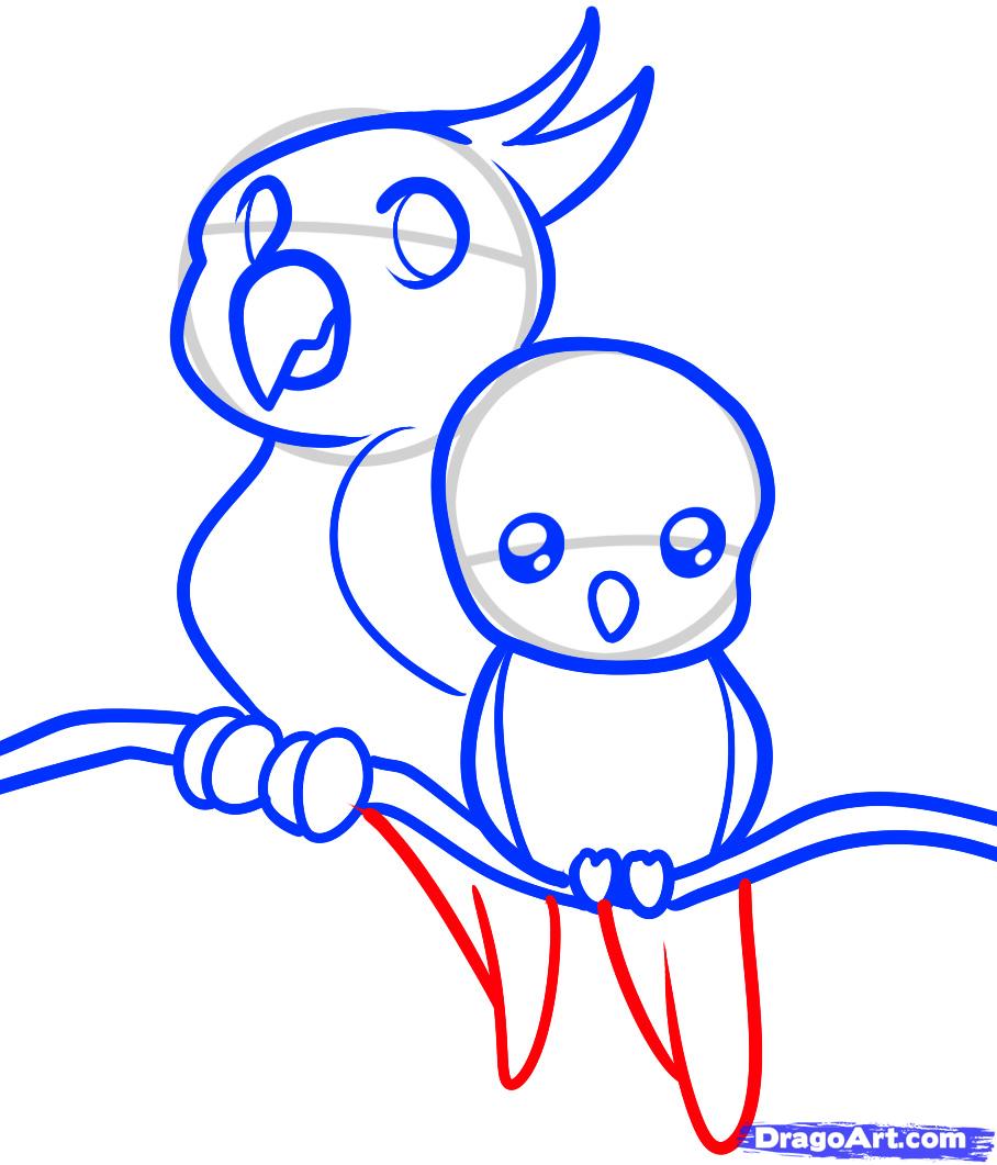 908x1061 Draw Parrots For Kids, Step
