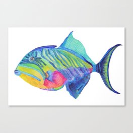 264x264 Parrot Fish Canvas Prints