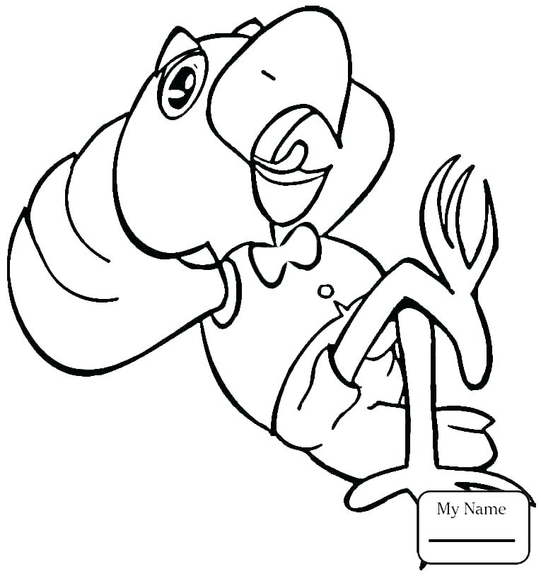 765x815 Parrot Pictures To Color Parrot Coloring