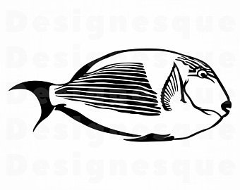 340x270 Parrot Fish Etsy