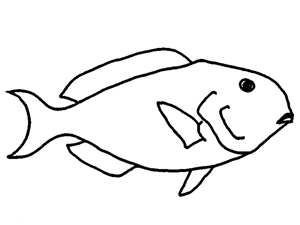 300x225 Parrotfishes