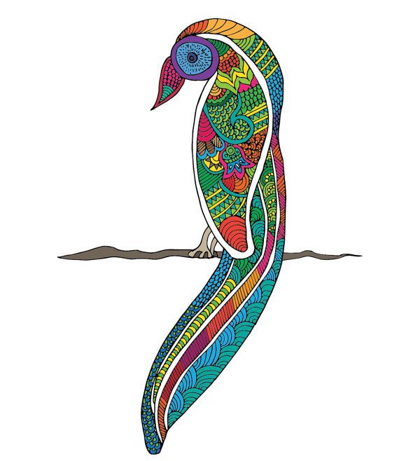 570x658 Madhubani In Colorful Parrots