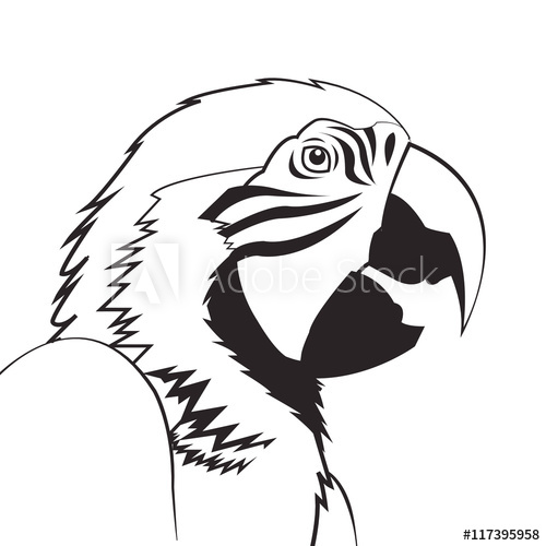 500x500 Flat Design Parrot Drawing Icon Vector Illustration