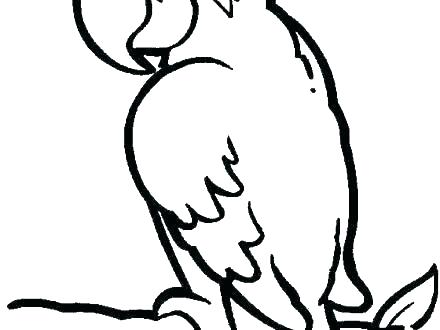 440x330 Parrot Coloring Pages