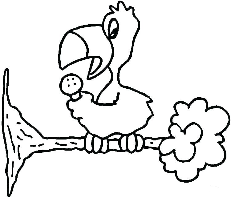 750x643 Parrot Fish Coloring