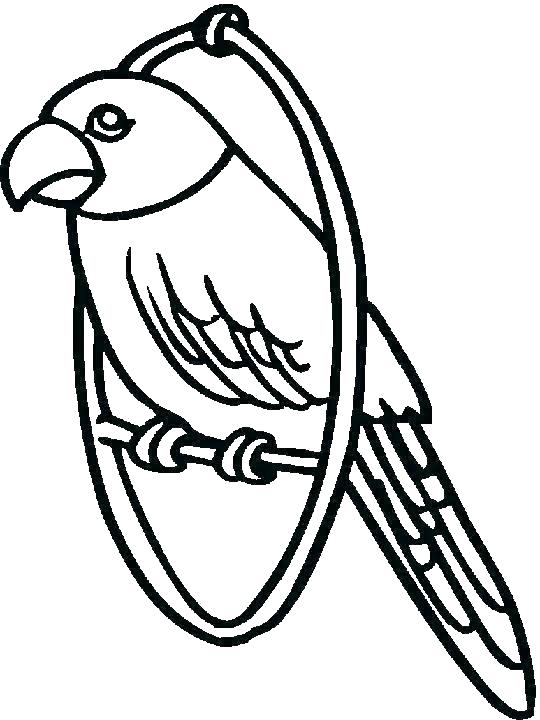 540x720 Coloring Pages Parrot Parrot Coloring Pages For Preschoolers