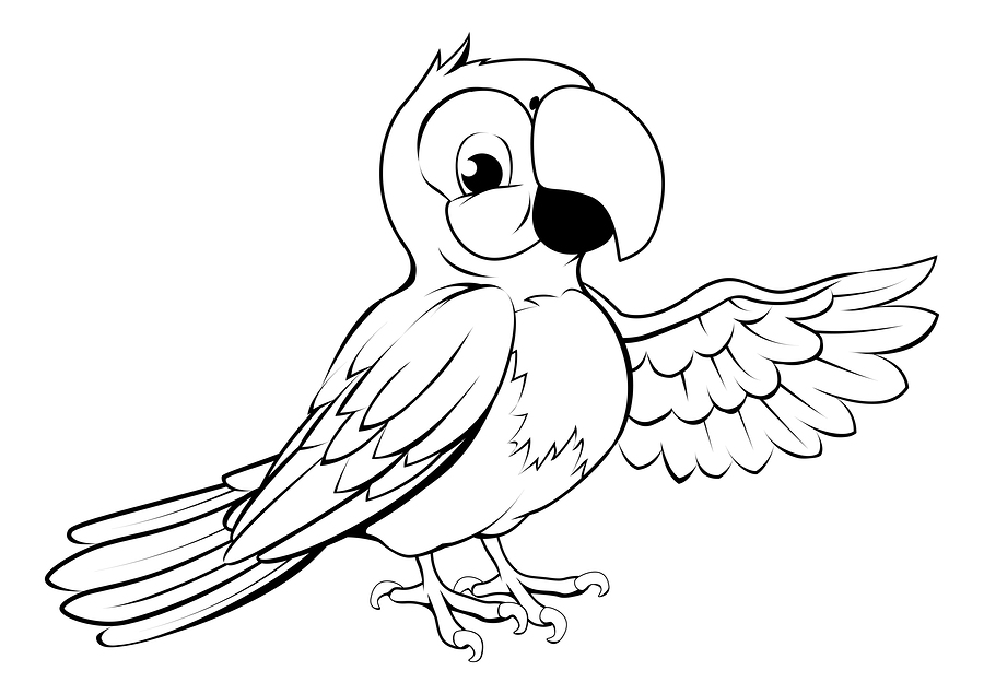 Parrot For Drawing