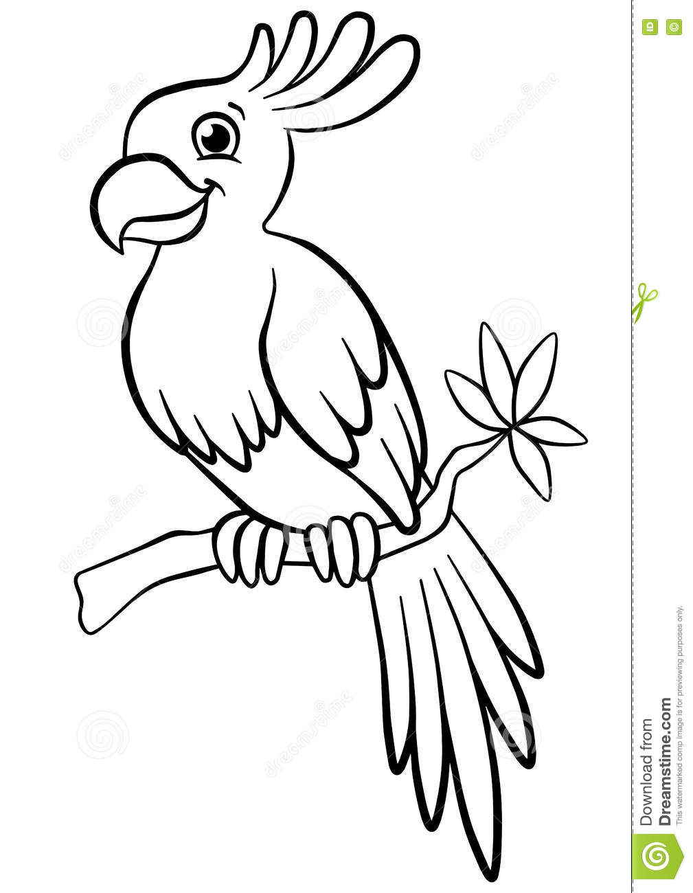 1009x1300 Collection Of 'cute Parrot Drawing' Download More Than Images