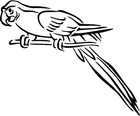 288x240 Drawing Alphabet Parrot, Picture