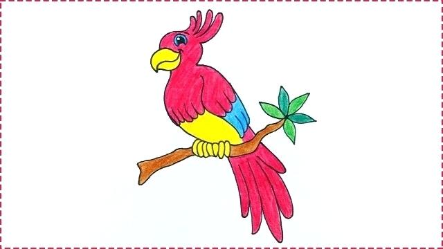 640x360 How To Draw Parrot Step