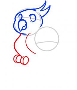 258x302 How To Draw How To Draw Parrots For Kids