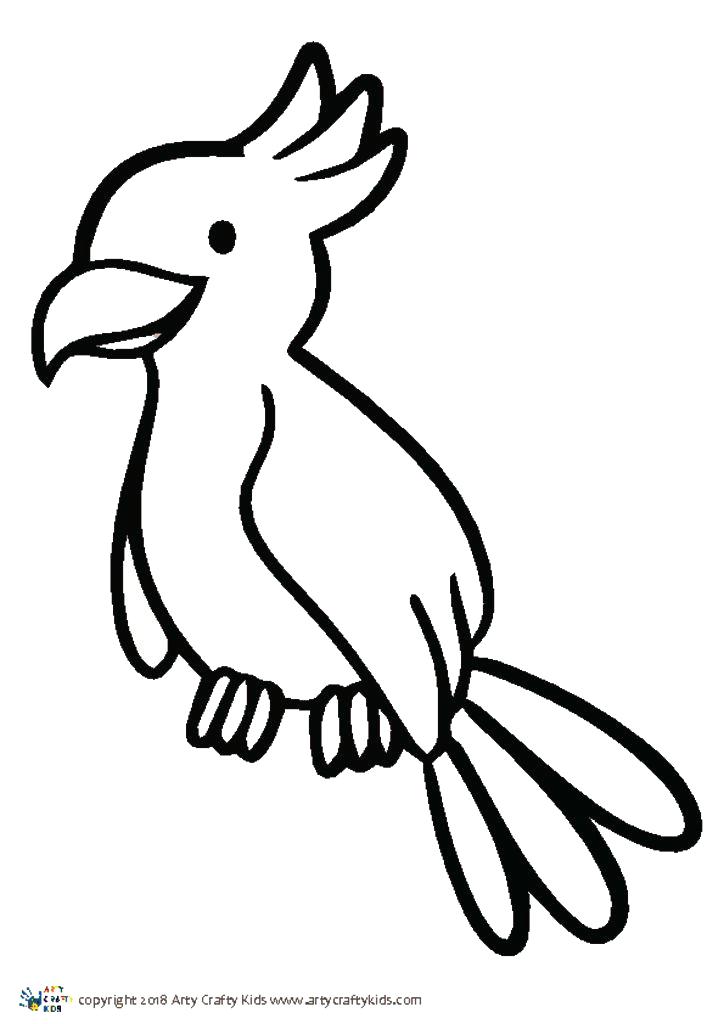 724x1024 Original Outline Drawing Of A Parrot Black And White Printable