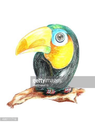 364x471 Parrot Drawing Premium Clipart