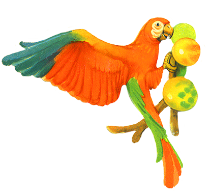 413x375 Parrots Drawing Cute Huge Freebie! Download For Powerpoint