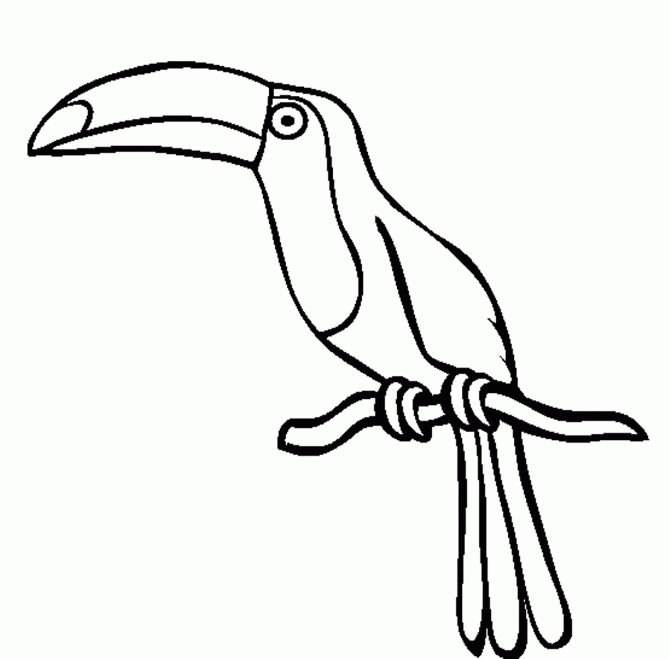 940x926 Parrot Clip Art Coloring Pages Ideas And Designs