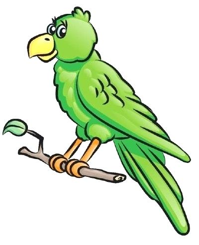 400x493 Drawing A Parrot Line Drawing Parrot Images