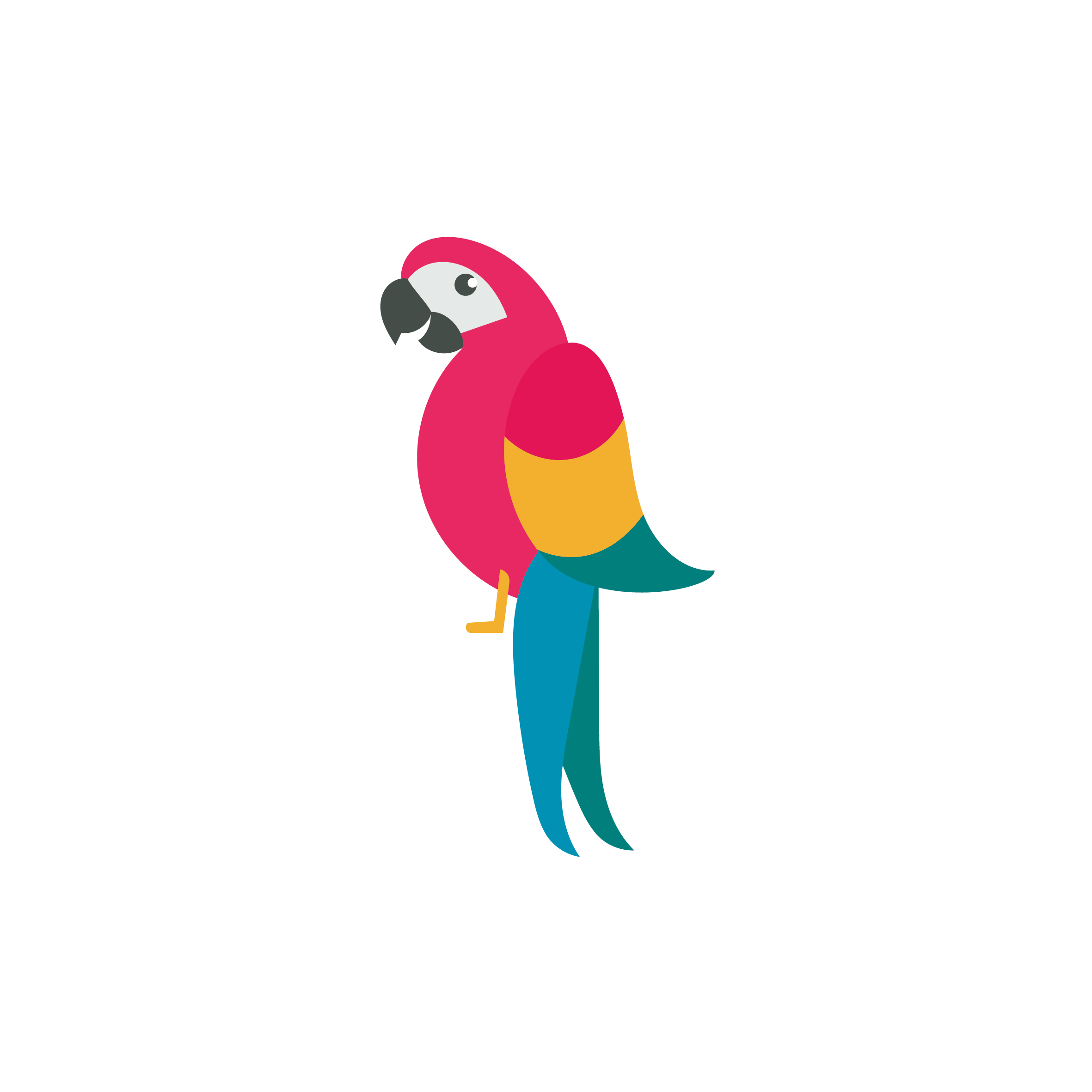 2362x2362 Parrot Drawing How To Draw A Cartoon Illustration Line Art Shading