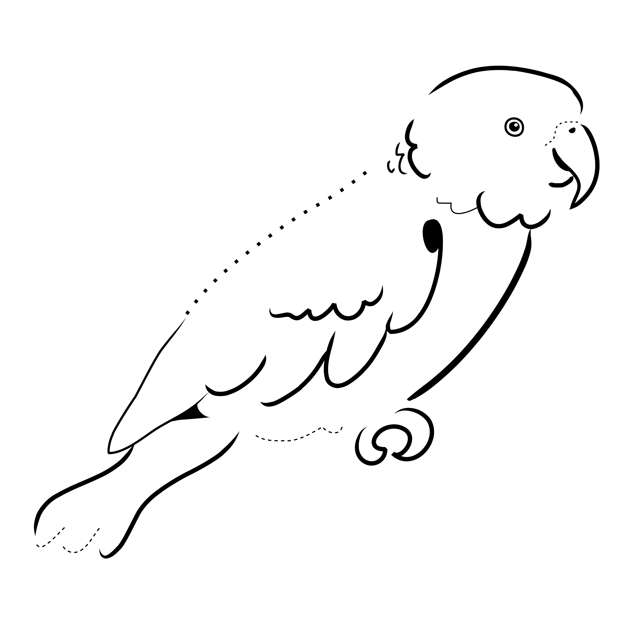 2400x2400 Parrot Drawing Line, Picture