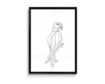 340x270 Parrot Drawing Poster Etsy
