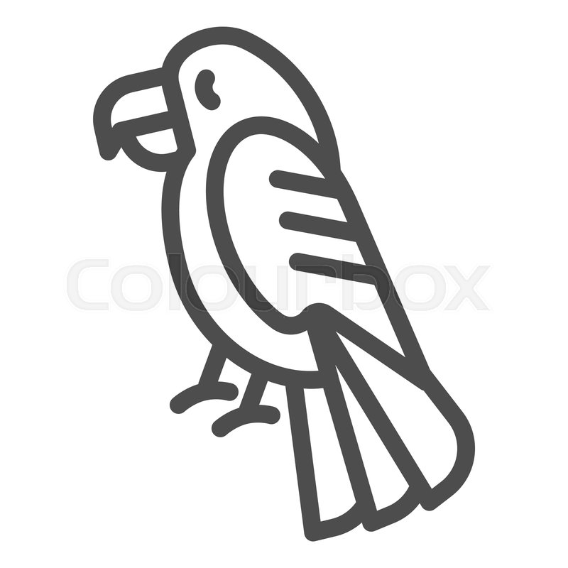 800x800 Parrot Line Icon Bird Vector Stock Vector Colourbox