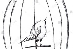 236x157 Victorian Bird Cage Drawing Antique Parrot Line Tumblr Birdcage