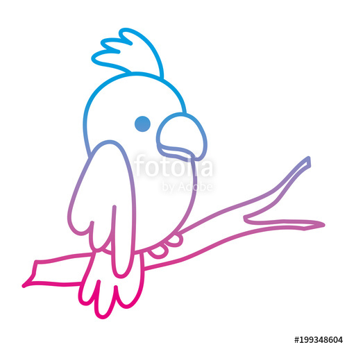 500x500 Degraded Line Beauty Parrot Bird Animal In The Branch Stock Image