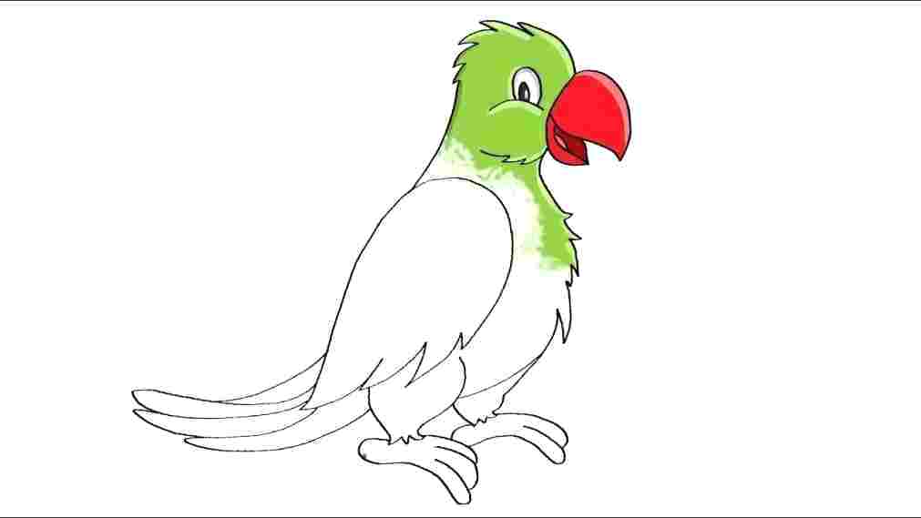 1011x569 How To Draw A Parrot Easy
