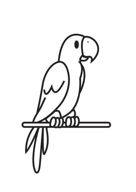 531x750 Parrot Coloring Page