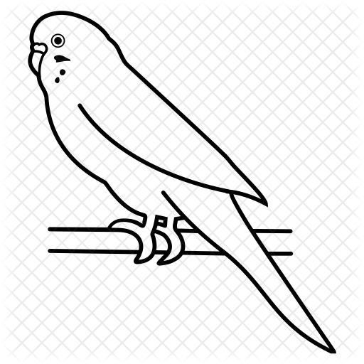 512x512 Collection Of Free Parrot Drawing Wild Animal Download On Ui Ex